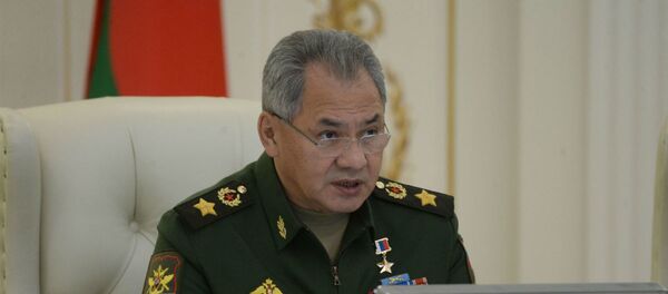 Министр обороны России Сергей Шойгу - Sputnik Беларусь