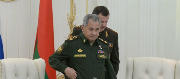 Министр обороны России Сергей Шойгу - Sputnik Беларусь