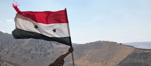 Сирийская армия освободила от террористов  провинцию Дераа - Sputnik Беларусь