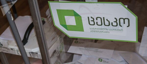 Выборы президента в Грузии - Sputnik Беларусь