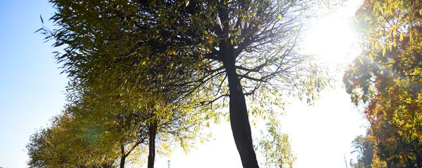 Дакладны прагноз надвор'я ў Беларусі да канца тыдня: у нядзелю да +21°С Дакладны прагноз надвор'я ў Беларусі да канца тыдня: у нядзелю да +21°С - Sputnik Беларусь