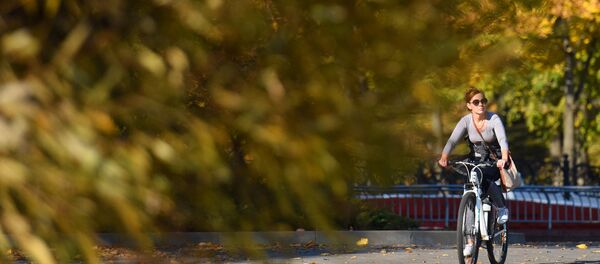 Цёплая восень, архіўнае фота - Sputnik Беларусь