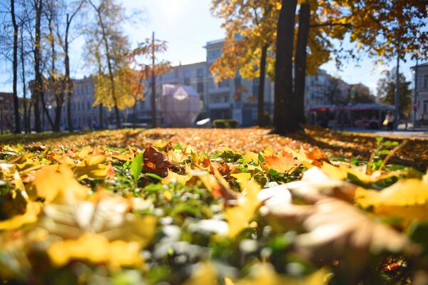 Теплая осень в октябре в Гомеле - Sputnik Беларусь