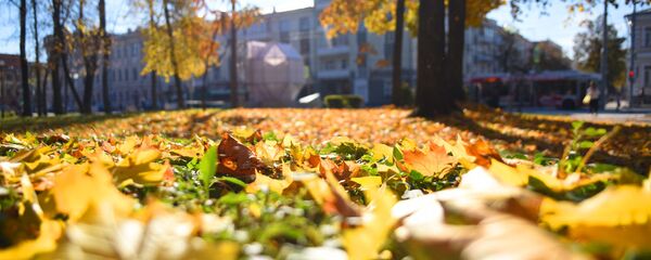 Осень в Гомеле, архивное фото Осень в Гомеле, архивное фото - Sputnik Беларусь