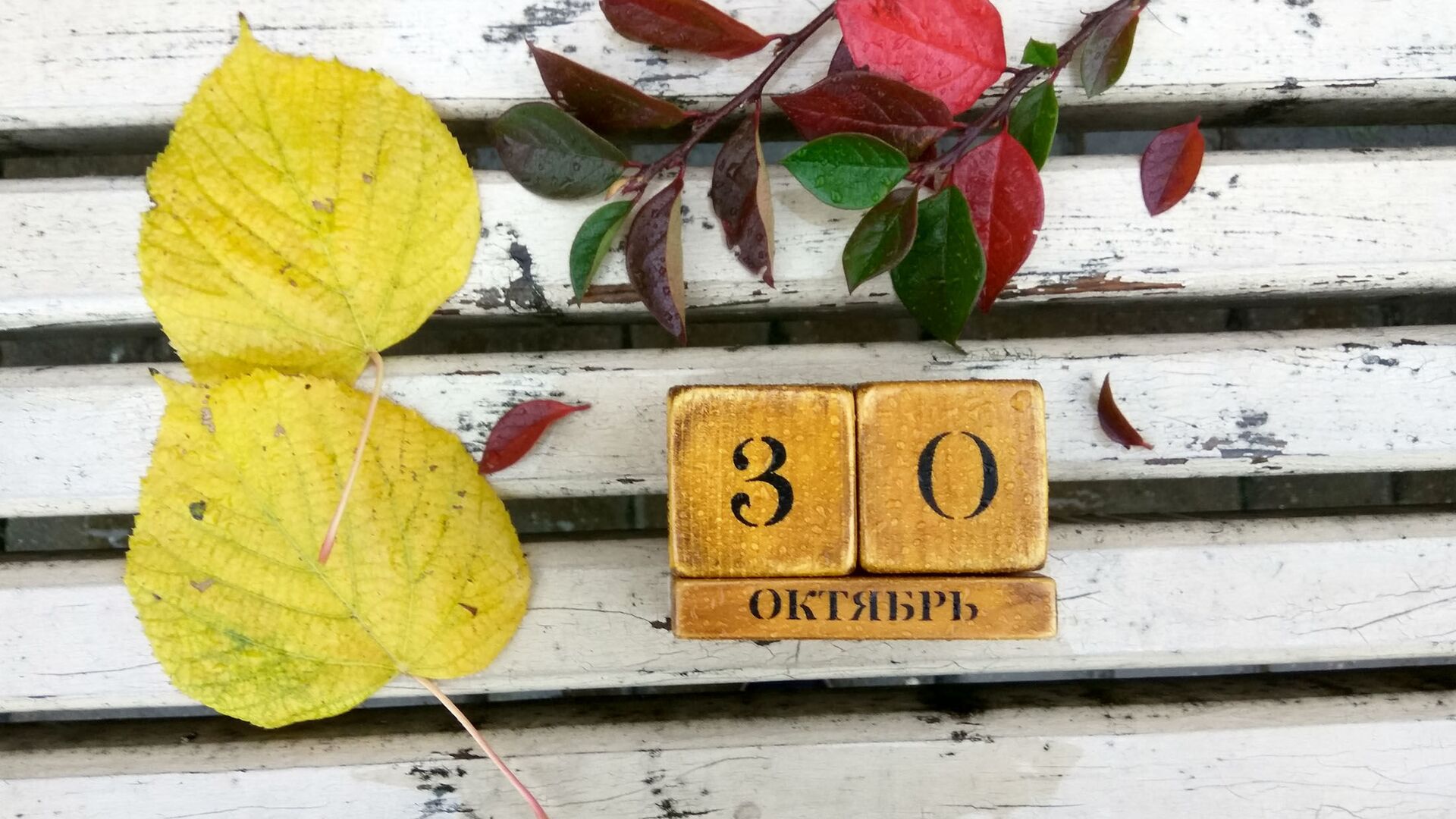 Календарь 30 октября - Sputnik Беларусь, 1920, 30.10.2022