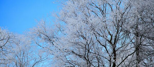 Зима, архивное фото - Sputnik Беларусь