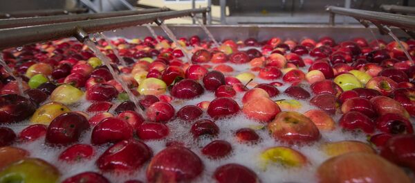 Клецкий завод Гамма вкуса - Sputnik Беларусь