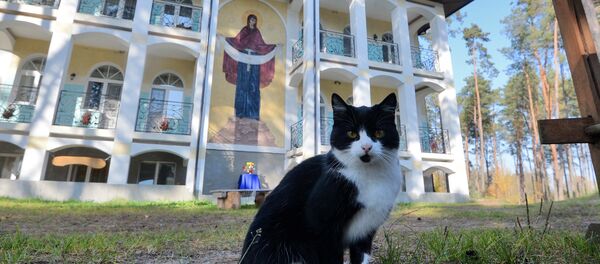 У Лаўрышаўскі манастыр людзі прыязджаюць за цішынёй і адзінотай - Sputnik Беларусь