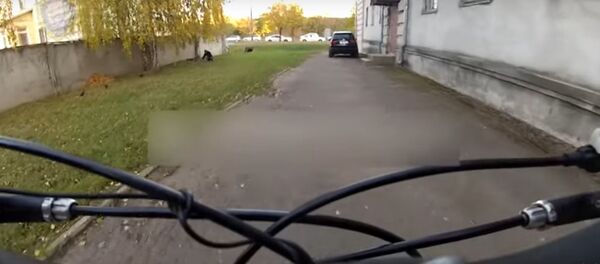 Велосипедист снял на видео поиск закладки с наркотиком вблизи поста ГАИ - Sputnik Беларусь