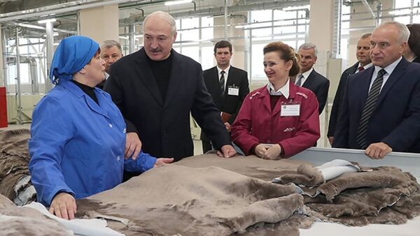 Президент Беларуси посещает меховой комбинат в Витебске - Sputnik Беларусь