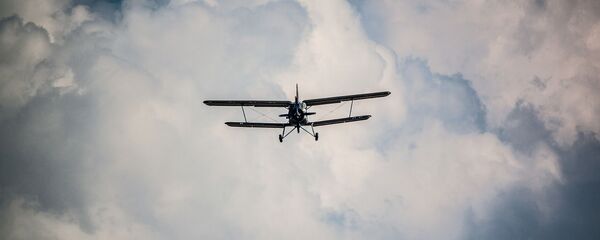 Самолет в небе, архивное фото - Sputnik Беларусь