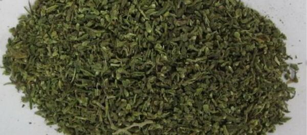 Парень с марихуаной задержан в ТЦ Минска Парень с марихуаной задержан в ТЦ Минска - Sputnik Беларусь