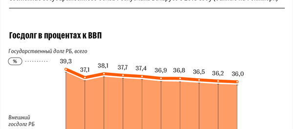 Состояние государственного долга Республики Беларусь в 2018 году – инфографика sputnik.by - Sputnik Беларусь