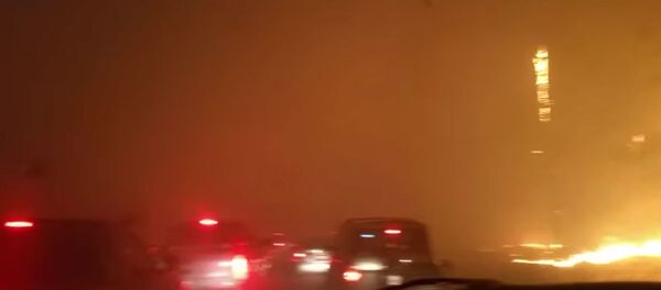 Как семья из Калифорнии спасается от пожара Как семья из Калифорнии спасается от пожара - Sputnik Беларусь