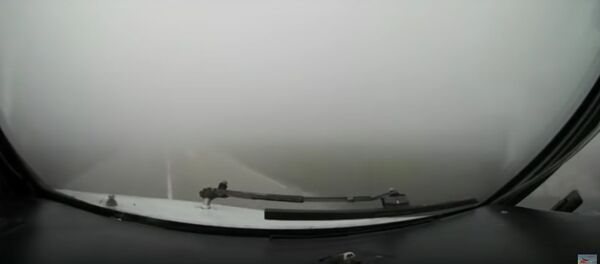 Видимость – ноль: пилот Белавиа показал, как в тумане сажал самолет - Sputnik Беларусь