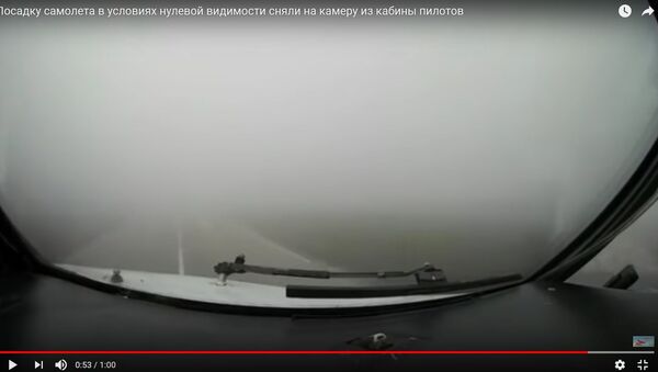 Видимость – ноль: пилот Белавиа показал, как в тумане сажал самолет - Sputnik Беларусь