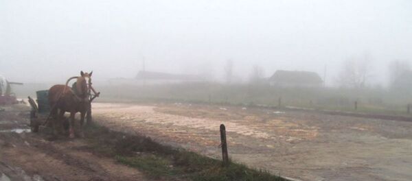 Мертвого мужчину нашли в яме для отходов в Ошмянском районе - Sputnik Беларусь