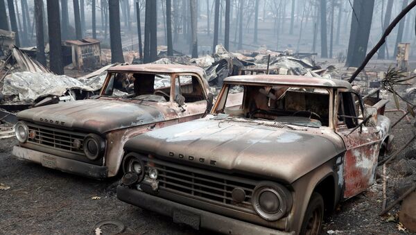 Число жертв пожаров в Калифорнии достигло 66 человек - Sputnik Беларусь