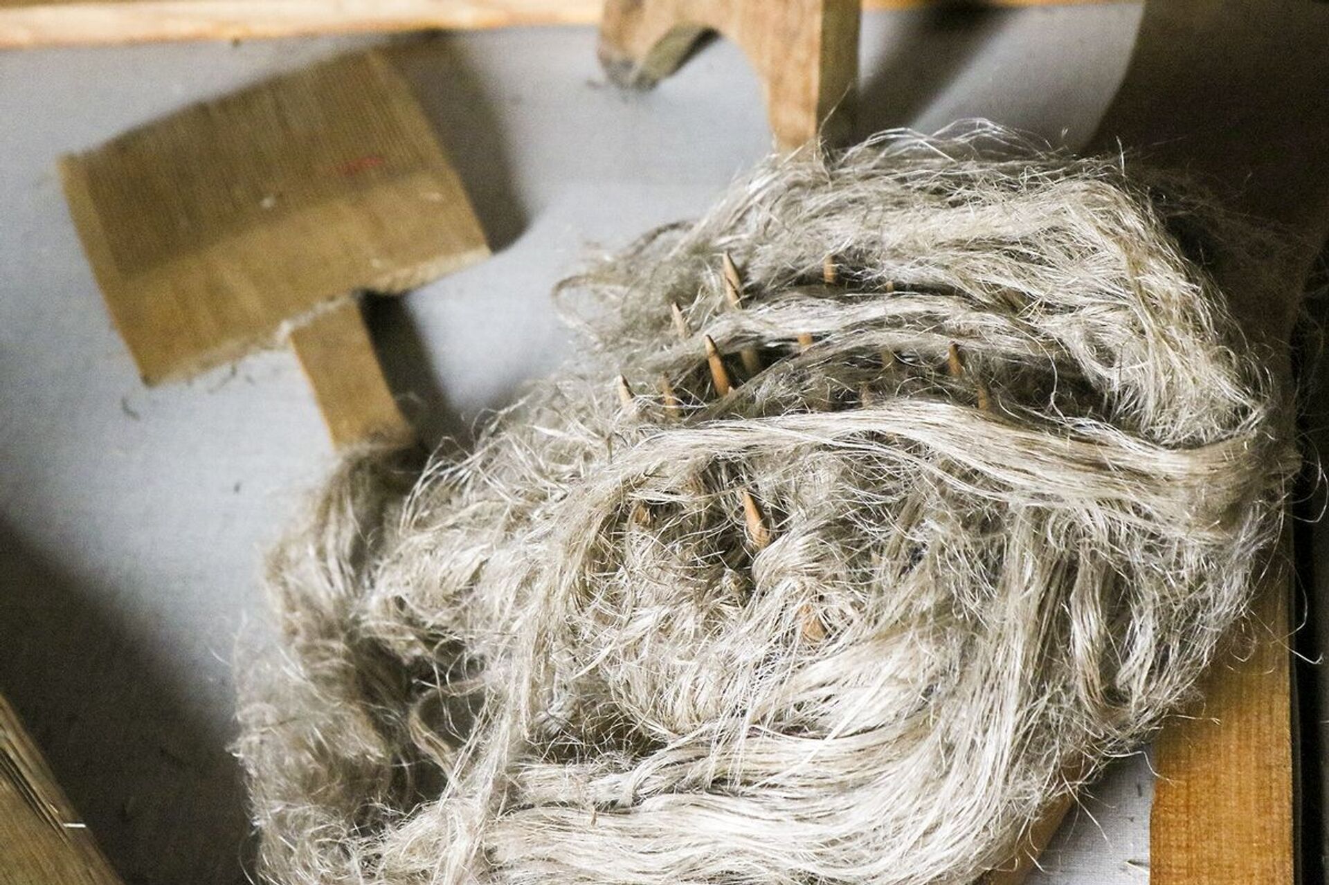 Беларускі лён Беларускі лён - Sputnik Беларусь, 1920, 12.12.2025