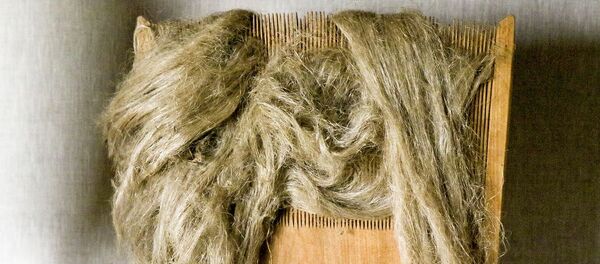 Беларускі лён - Sputnik Беларусь