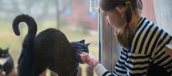 Оле приходится много времени сидеть дома, единственные вестники из большого мира – два кота, которые приходят к ней под окна  - Sputnik Беларусь