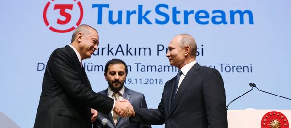 Владимир Путин и Реджеп Тайип Эрдоган принимают участие в церемонии завершения строительства морского участка газопровода Турецкий поток. - Sputnik Беларусь