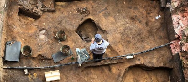 Череп мамонта с кладом внутри нашли археологи в Подмосковье - Sputnik Беларусь