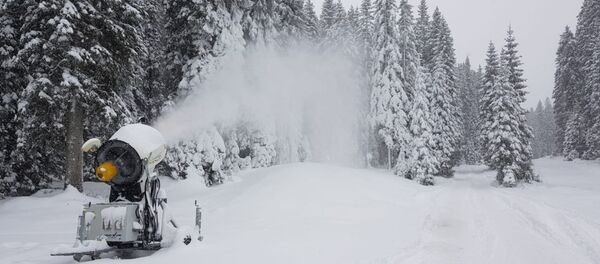 Словенская Поклюка готовится принять этап кубка мира по биатлону 2018/2019 - Sputnik Беларусь