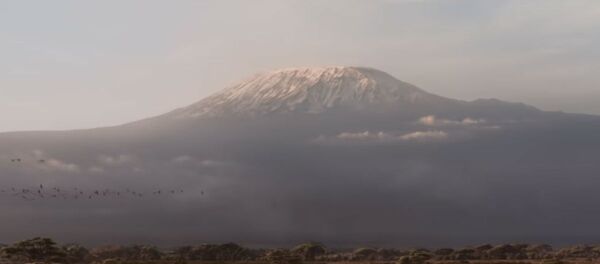 Каким будет ремейк мультфильма Король Лев от Disney - Sputnik Беларусь