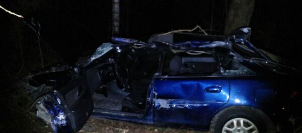 Мазда влетела в стоящий на дороге автопоезд в Дятловском районе - Sputnik Беларусь