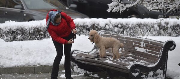Прогулка по зимнему Минску - Sputnik Беларусь