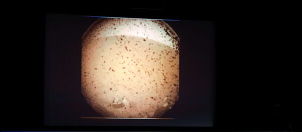 Космический зонд Mars InSight сел на поверхность Марса - Sputnik Беларусь