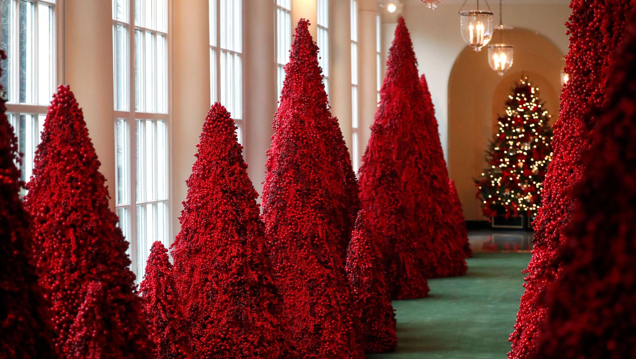 Красная елка купить. Ель красная. Красная елка. Красная Новогодняя елка. Наряжаем елку.