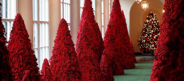 Деревья из красных ягод в Белом доме в Вашингтоне  - Sputnik Беларусь