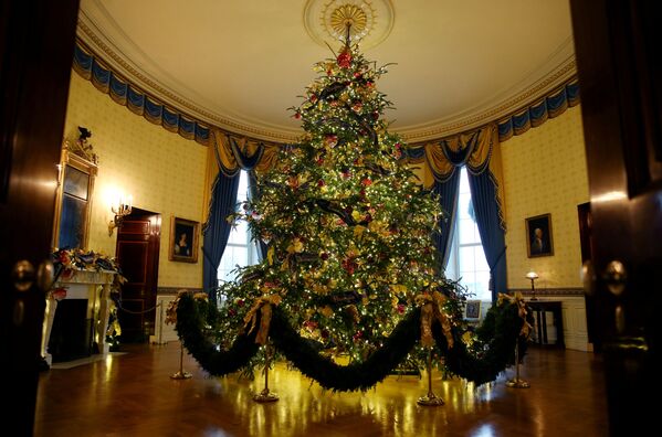 Официальная рождественская елка в Голубой комнате Белого дома в Вашингтоне  - Sputnik Беларусь
