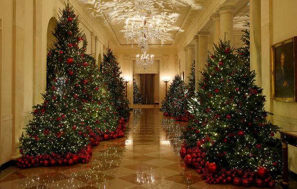 Рождественские декорации Белого дома в Вашингтоне - Sputnik Беларусь