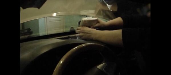 Таможенники показали, где контрабандист умудрился спрятать 15 iPhone - Sputnik Беларусь