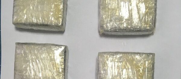 Обнаруженная в термосе партия гашиша Обнаруженная в термосе партия гашиша - Sputnik Беларусь