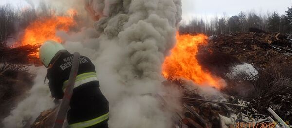 Пожар на окраине Гомеля - Sputnik Беларусь