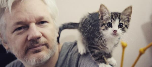 Ассандж с котом - Sputnik Беларусь