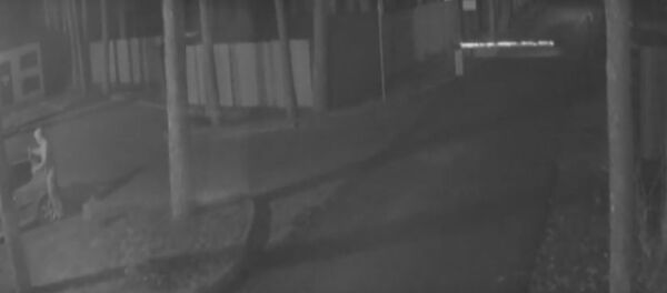 УВД показало, как неадекватный угонщик пытался вскрыть машину - Sputnik Беларусь