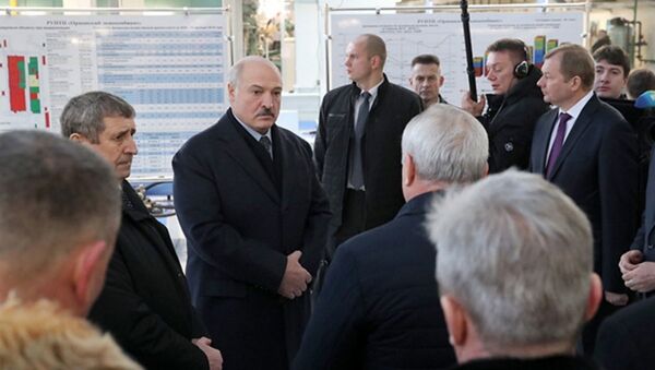 Рабочая поездка президента Александра Лукашенко в Оршанский район - Sputnik Беларусь