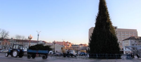 Елка, установленная в Гродно - Sputnik Беларусь