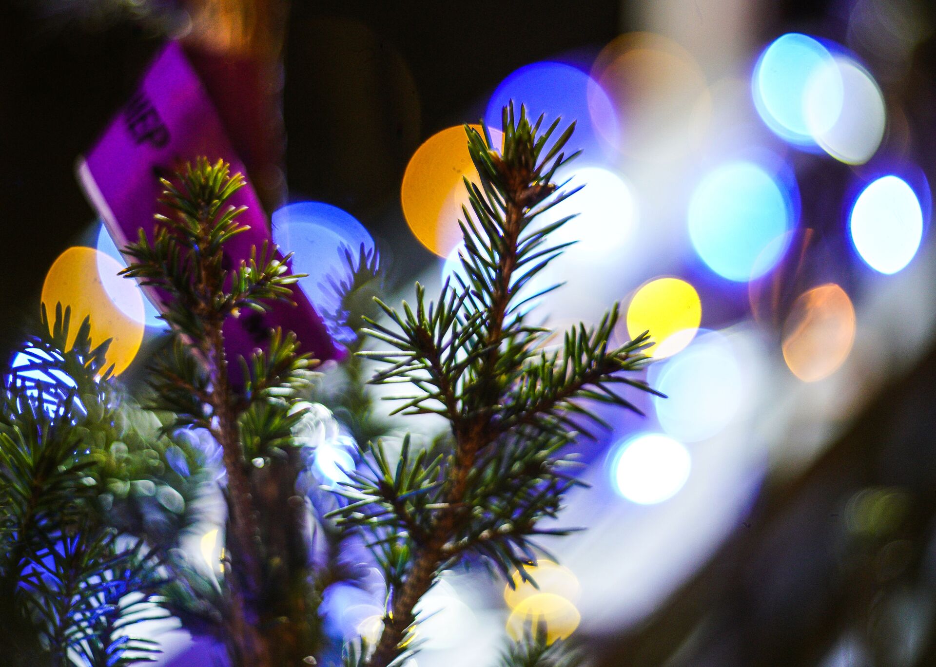 Работа елочного базара, архивное фото