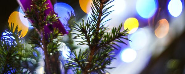 Работа елочного базара, архивное фото - Sputnik Беларусь