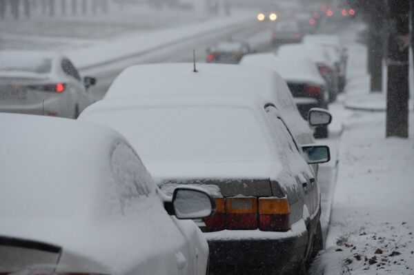 Снежный фотофакт: первый день зимы в Минске - Sputnik Беларусь