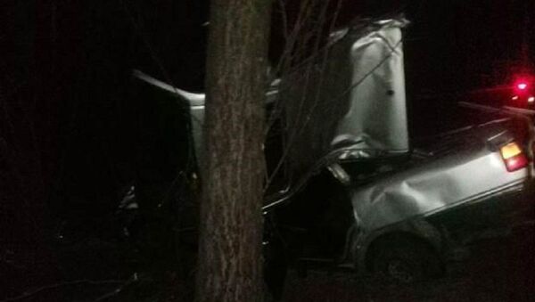 Автомобиль вылетел с дороги и врезался в сосну в Волковысском районе - Sputnik Беларусь
