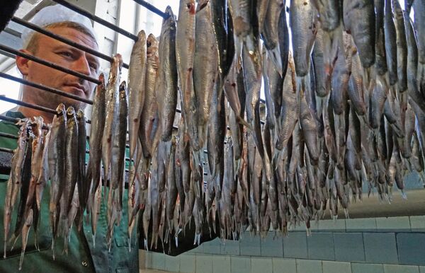 Балтийские шпроты как химико-биологическое оружие - Sputnik Беларусь