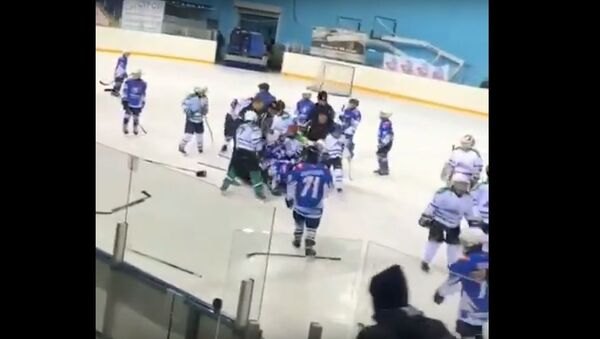 Массовая драка на детском хоккейном турнире, видео - Sputnik Беларусь