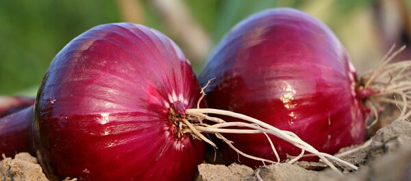 Красный лук - Sputnik Беларусь